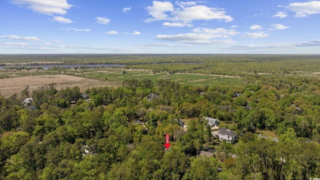 741 Tuckers Rd, Pawleys Island, SC 29585 - aerial view of a heavily wooded area and a large body of water
