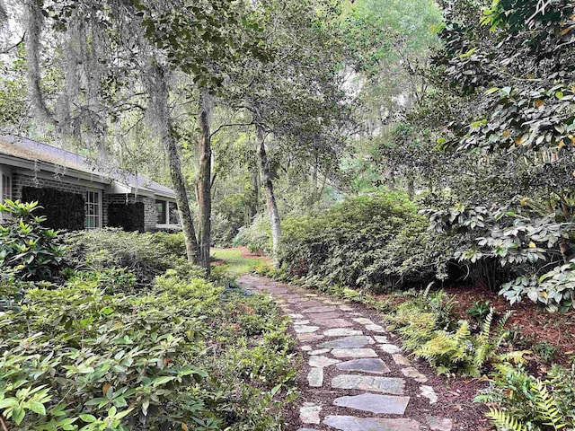 741 Tuckers Rd, Pawleys Island, SC 29585 - view of yard
