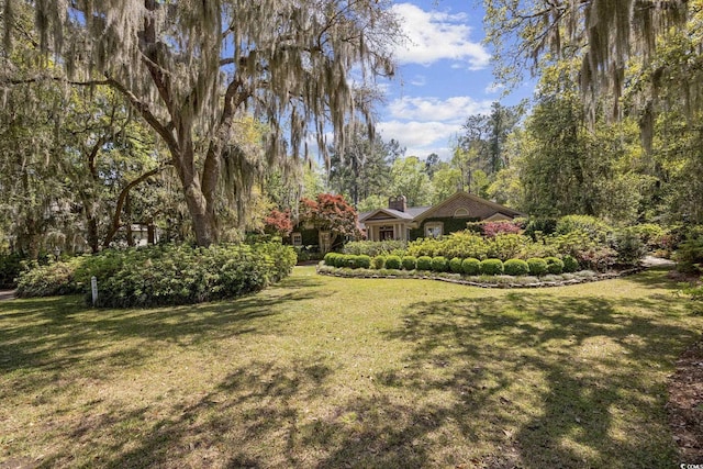 741 Tuckers Rd, Pawleys Island, SC 29585 - view of green lawn