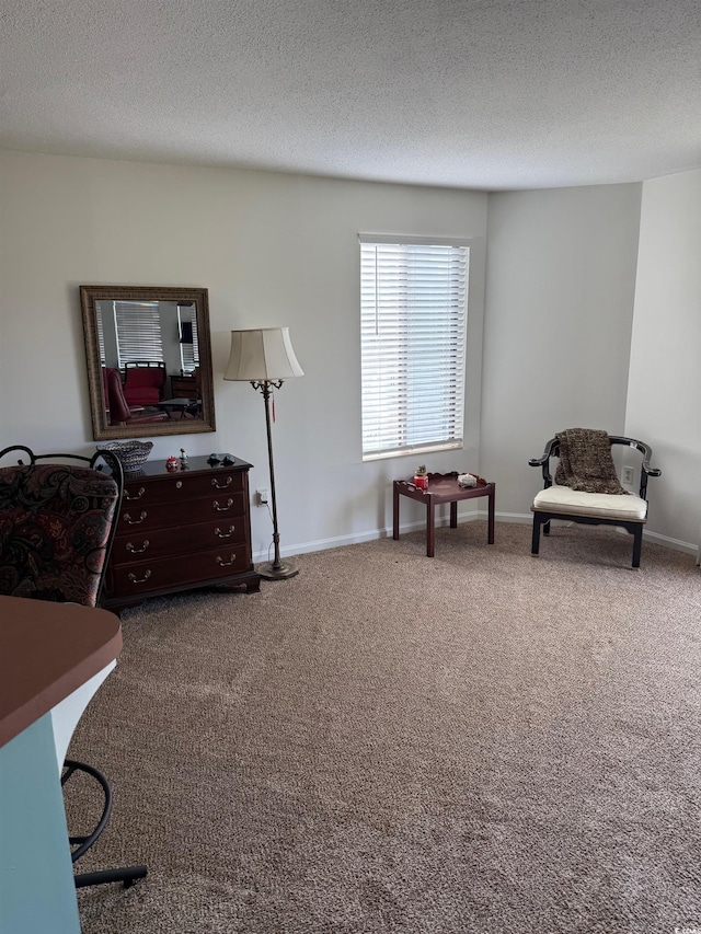 sitting room with carpet, a textured ceiling, and baseboards