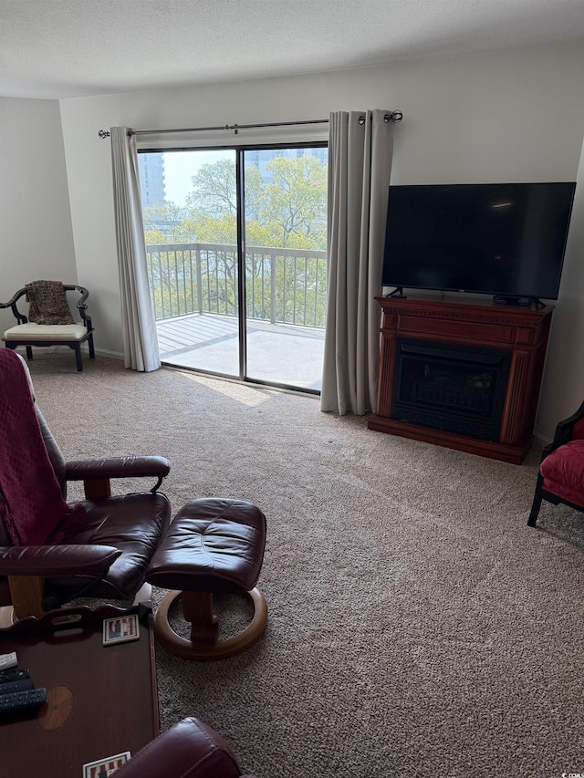 view of carpeted living area