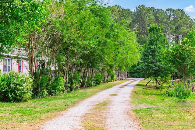view of road