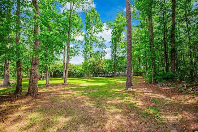 4391 Party Pines Rd, Conway, SC 29526 - view of yard