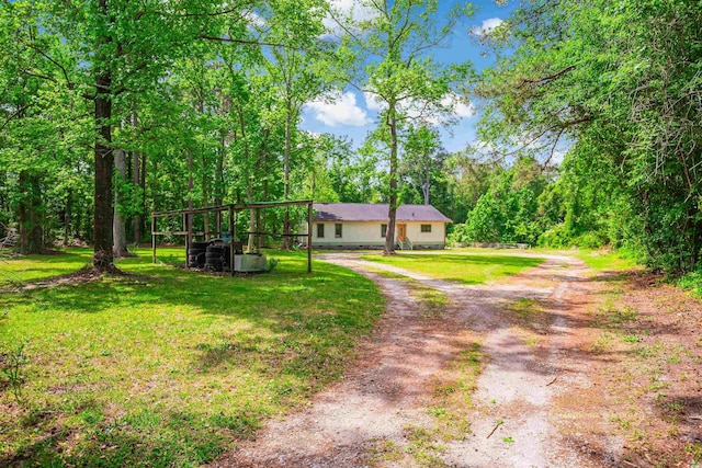 ranch-style house featuring a front yard, dirt driveway, and a view of trees