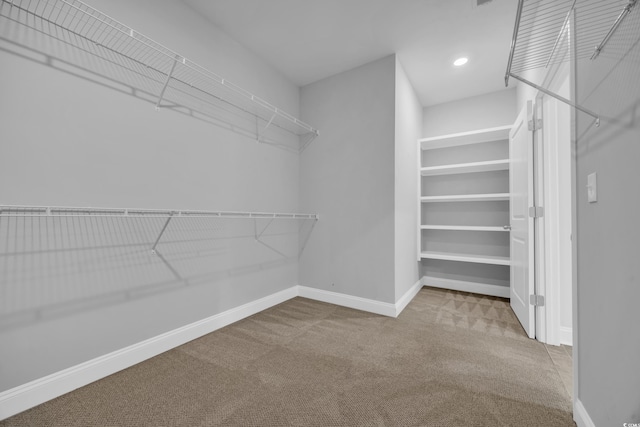 walk in closet featuring carpet floors