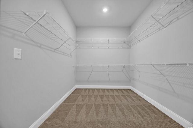 spacious closet with carpet flooring