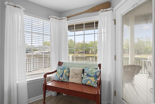 living area featuring wood finished floors, healthy amount of natural light, and baseboards