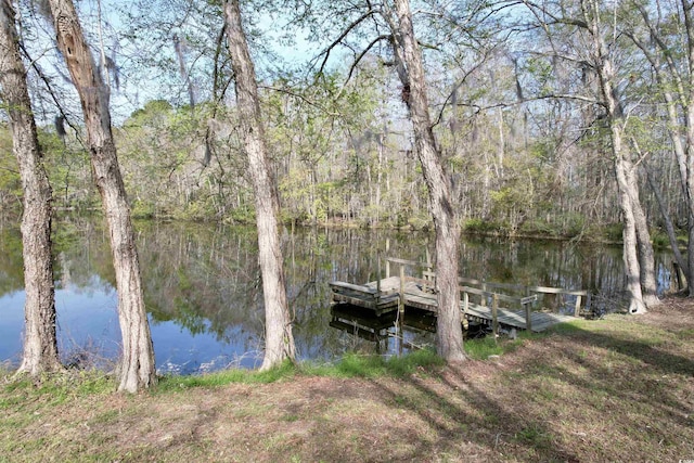 1339 Johnsonville Hwy, Lake City, SC 29560 - photo 35