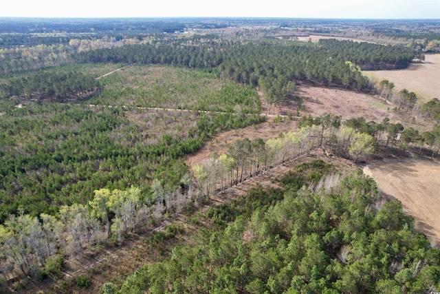 1339 Johnsonville Hwy, Lake City, SC 29560 - photo 24