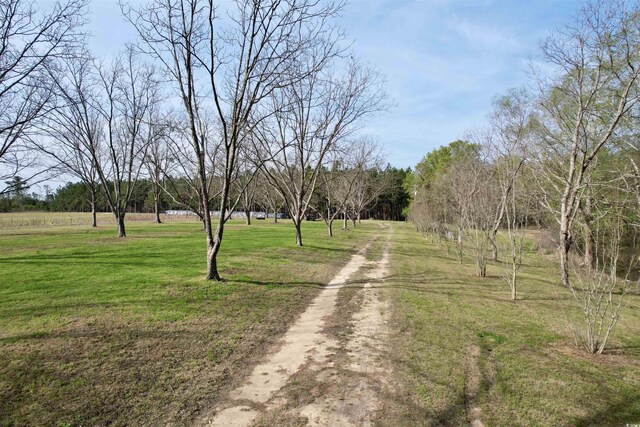 1339 Johnsonville Hwy, Lake City, SC 29560 - photo 20