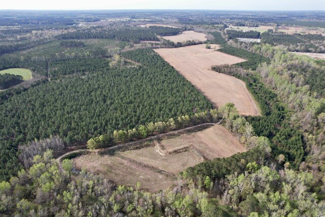 1339 Johnsonville Hwy, Lake City, SC 29560 - photo 19