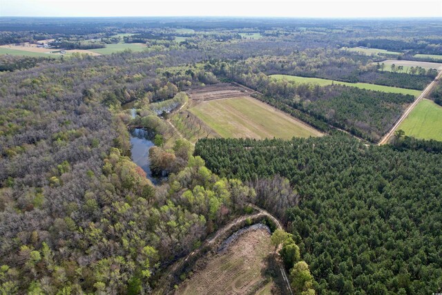 1339 Johnsonville Hwy, Lake City, SC 29560 - photo 18