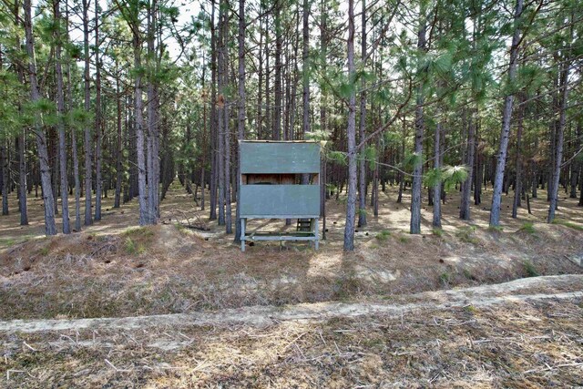 1339 Johnsonville Hwy, Lake City, SC 29560 - photo 16