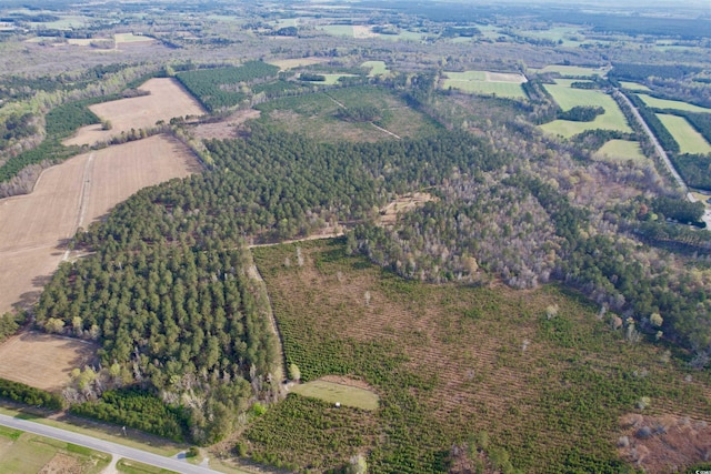 1339 Johnsonville Hwy, Lake City, SC 29560 - photo 13