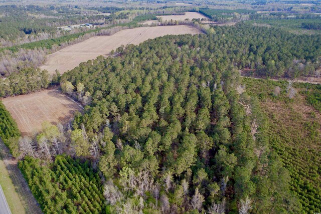 1339 Johnsonville Hwy, Lake City, SC 29560 - photo 12