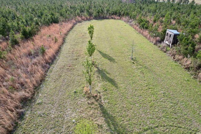 1339 Johnsonville Hwy, Lake City, SC 29560 - photo 11