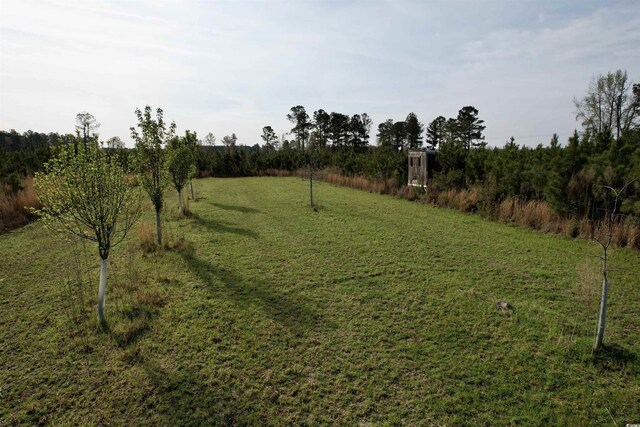 1339 Johnsonville Hwy, Lake City, SC 29560 - photo 10