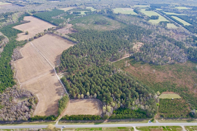 1339 Johnsonville Hwy, Lake City, SC 29560 - photo 1