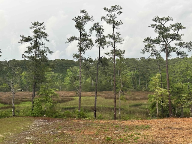 view of local wilderness with a view of trees