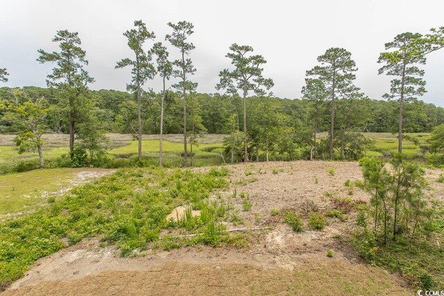2212 Dykman Cir, Little River, SC 29566 - view of yard