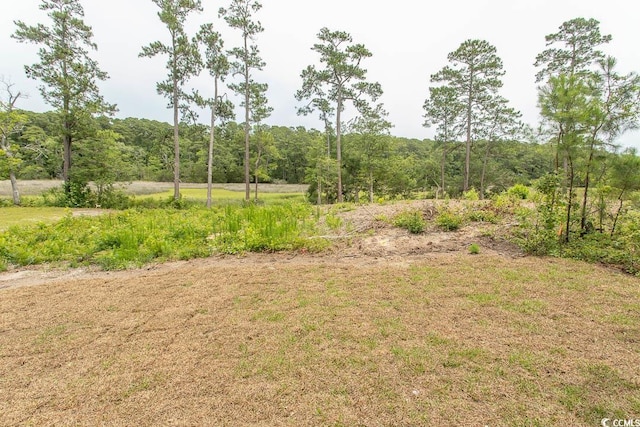 2212 Dykman Cir, Little River, SC 29566 - view of yard with a wooded view