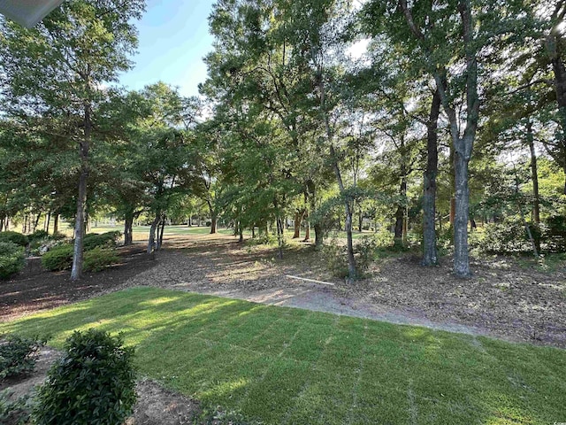 924 Morrall Dr, North Myrtle Beach, SC 29582 - view of grassy yard
