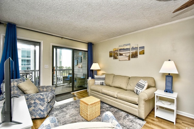 living area featuring crown molding, a textured ceiling, and wood finished floors