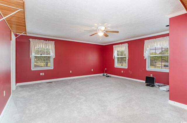 128 Causey St, Myrtle Beach, SC 29577 - empty room featuring ceiling fan, carpet flooring, crown molding, baseboards, and a textured ceiling