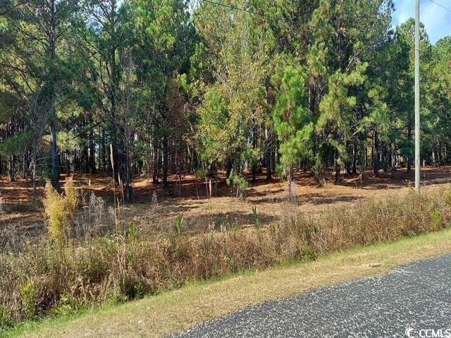 3025 Fowler Rd, Loris, SC 29569