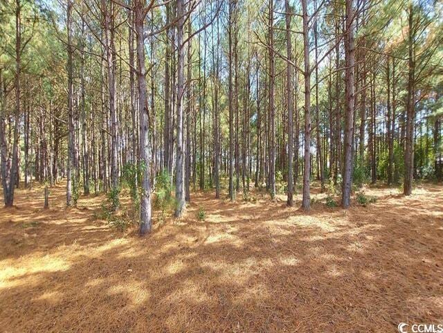 3025 Fowler Rd, Loris, SC 29569