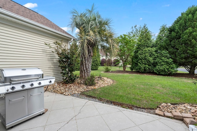 127 Willow Bay Dr, Murrells Inlet, SC 29576 - view of yard featuring a patio