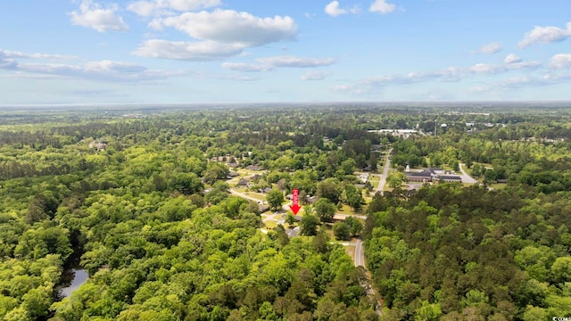 153 Busbee St, Conway, SC 29526 - bird's eye view of a forest