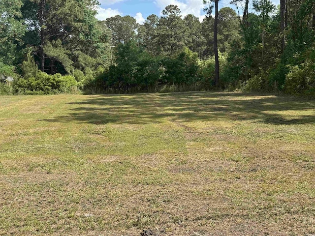 TBD James Dr, Andrews, SC 29510