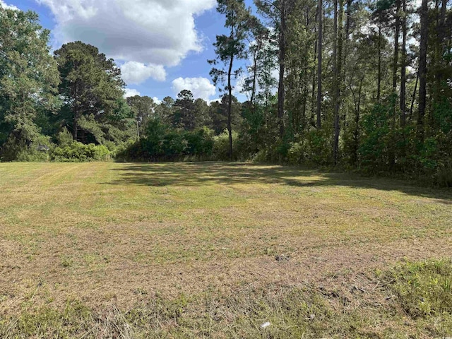 TBD James Dr, Andrews, SC 29510