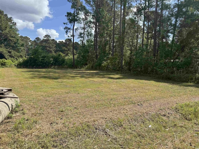 TBD James Dr, Andrews, SC 29510
