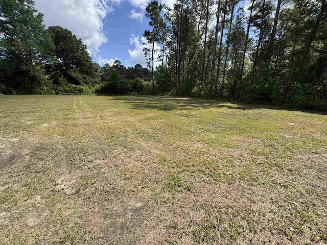 TBD James Dr, Andrews, SC 29510