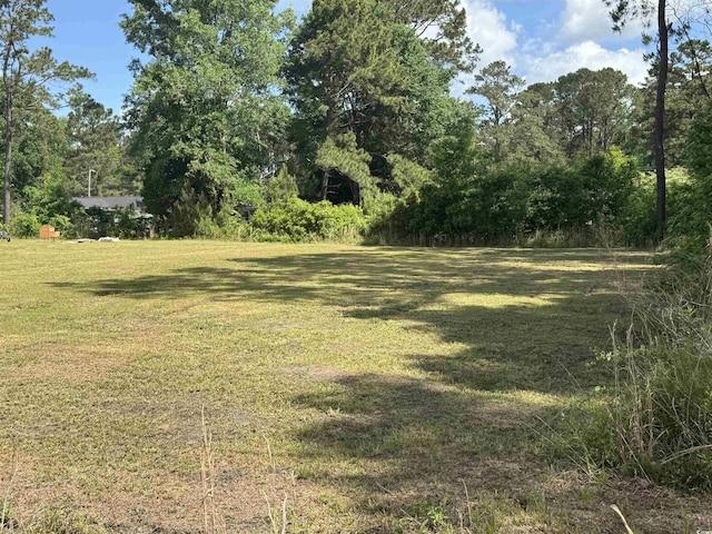 TBD James Dr, Andrews, SC 29510