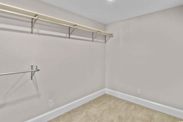 7602 Glenwood Dr, Myrtle Beach, SC 29572 - walk in closet with carpet floors