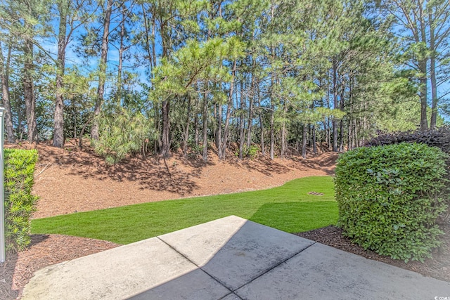 139 Chenoa Dr Unit D, Murrells Inlet, SC 29576 - photo 24