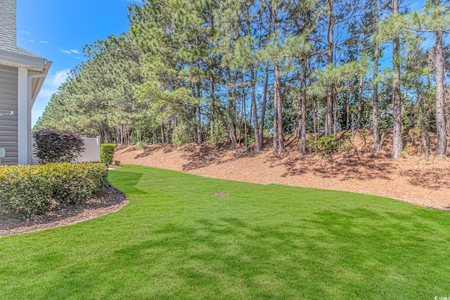 139 Chenoa Dr Unit D, Murrells Inlet, SC 29576 - photo 25