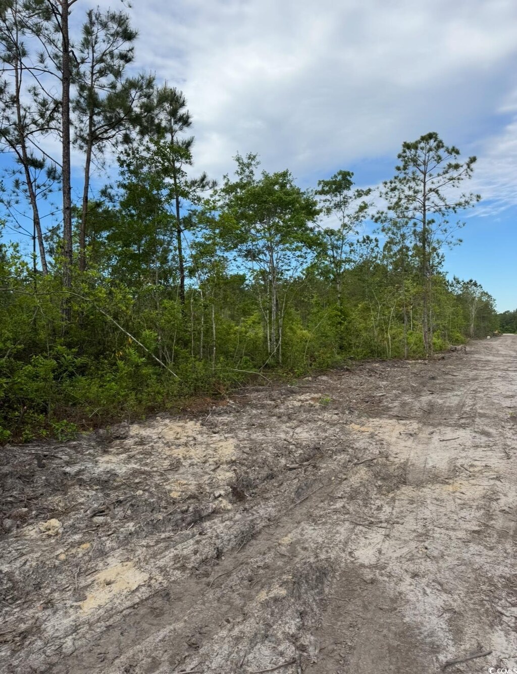 TBD Fowler School Rd, Loris, SC 29569 - photo 1