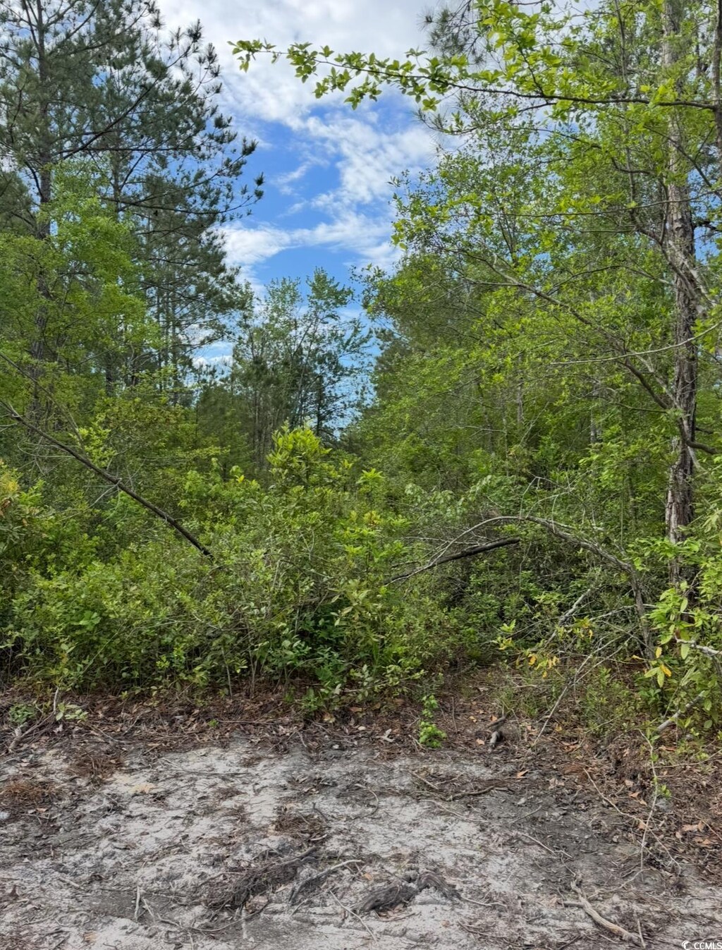 TBD Fowler School Rd, Loris, SC 29569 - photo 2