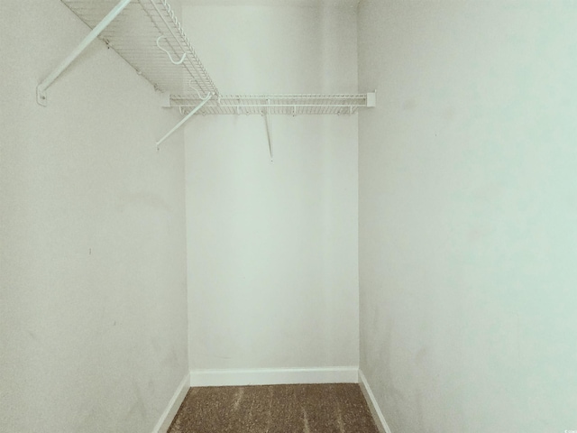 walk in closet featuring carpet