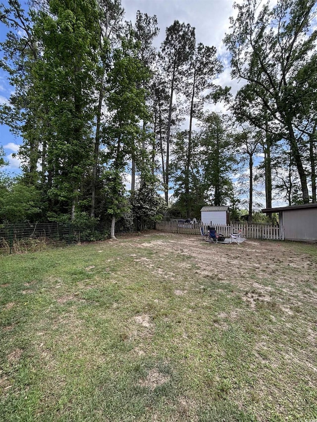 972 Mount Carmel Rd, Hemingway, SC 29554 - photo 18