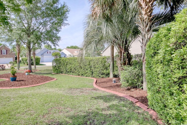 78 Saltwind Loop, Murrells Inlet, SC 29576 - view of yard