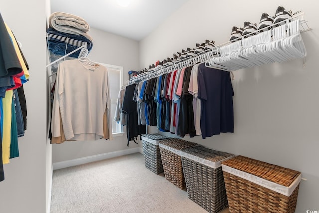 spacious closet with carpet