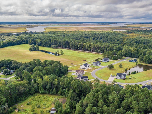 294 Field Loop Rd, Georgetown, SC 29440 - drone / aerial view of a large body of water and a heavily wooded area