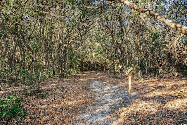 617 Hibiscus Ave Unit 617, Myrtle Beach, SC 29577 - view of local wilderness featuring a wooded view