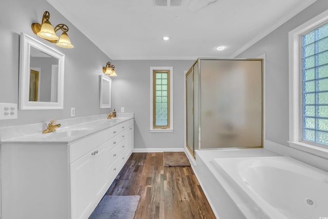 full bathroom featuring a sink, crown molding, a shower stall, and plenty of natural light