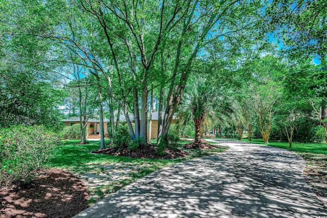 8209 Timber Ridge Rd, Conway, SC 29526 - view of asphalt driveway